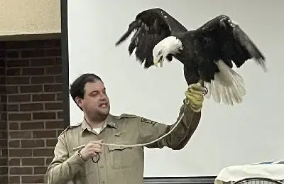 eagles-in-flight-jpg