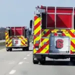 thfd-1-jpg-7