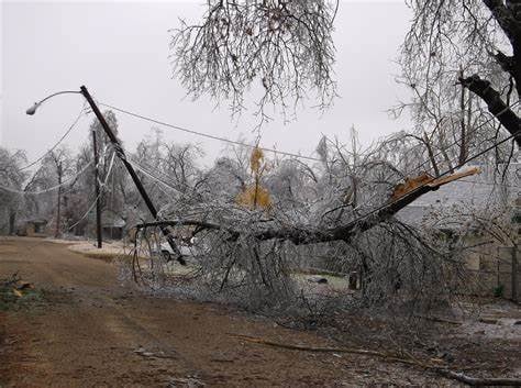 westover-dr-tree-down