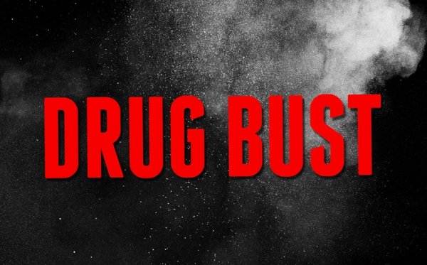 drug-bust-logo