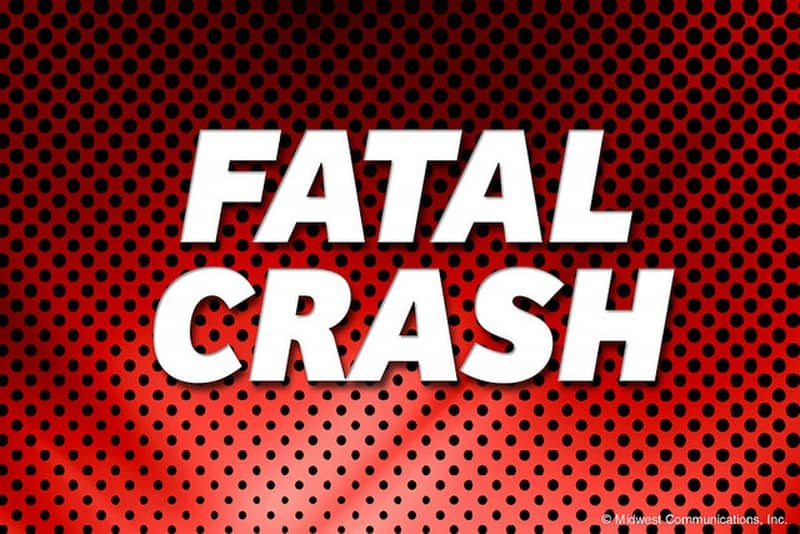 Danville man struck and killed on the Mt. Cross Road - Vimarsana News