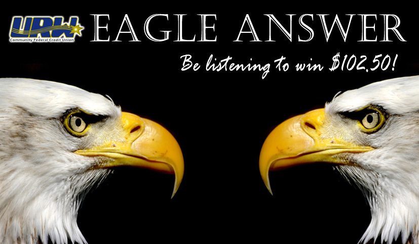 eagle-answer