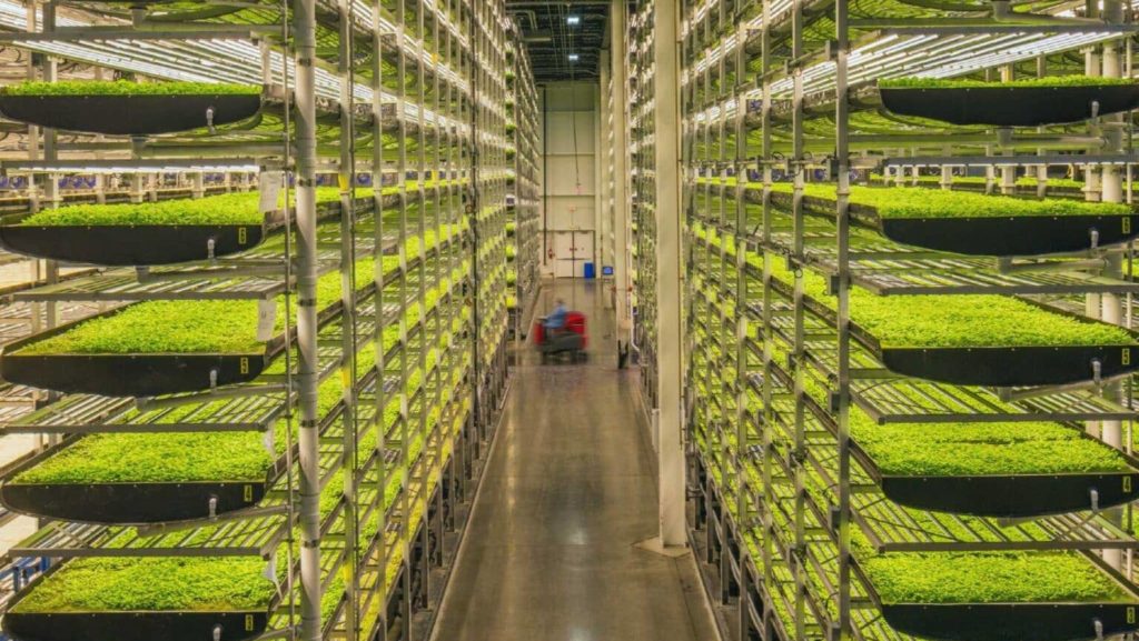 AeroFarms Emerges From Chapter 11 Fully Funded - Vimarsana News