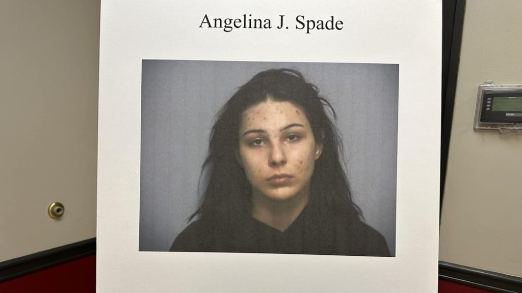 One Suspect Arrested in Henry County Homicide, Deputies Still Searching for Second Suspect - Vimarsana News