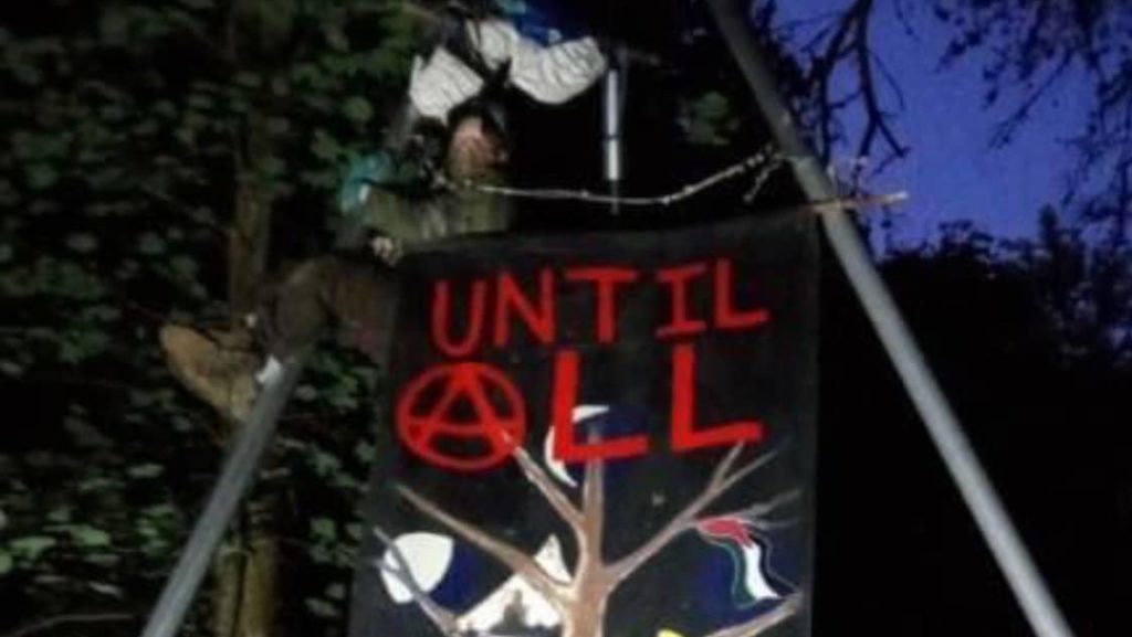 Mountain Valley Pipeline Protestor Arrested by Virginia State Police - Vimarsana News