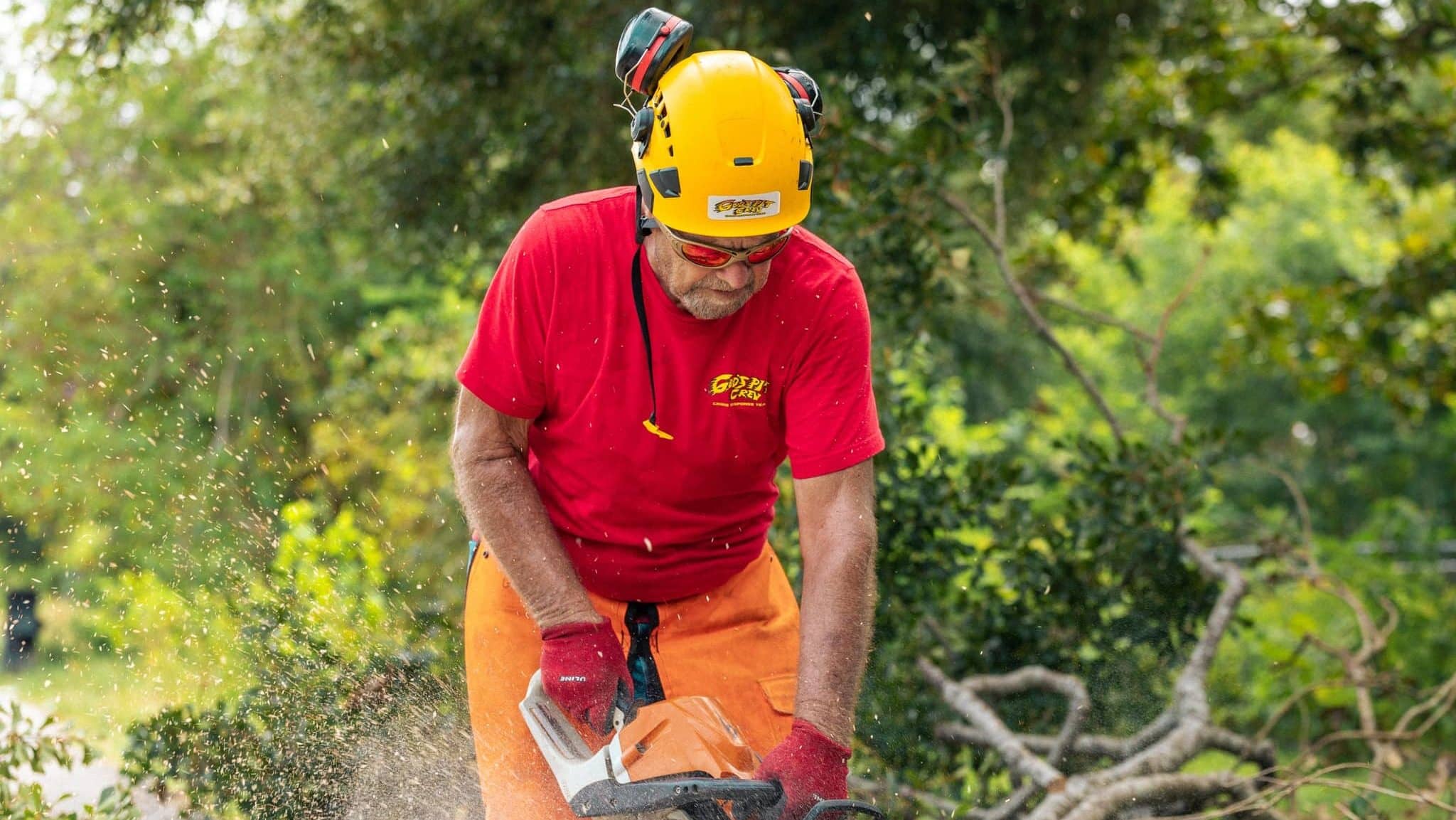 453485268_885594843598780_7343984718461062888_n