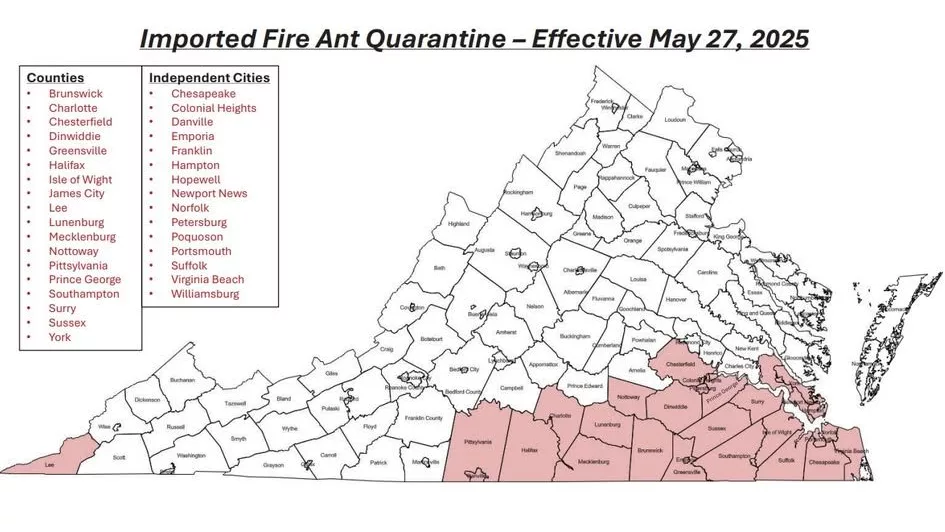 503920795_1060313376196482_8774540573890140493_n