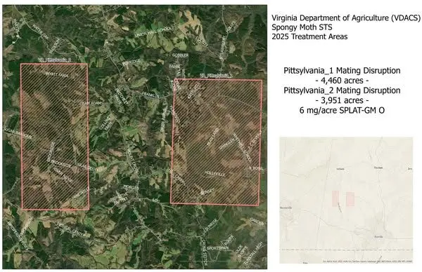 506599095_1160441999460832_3065773757777514524_n