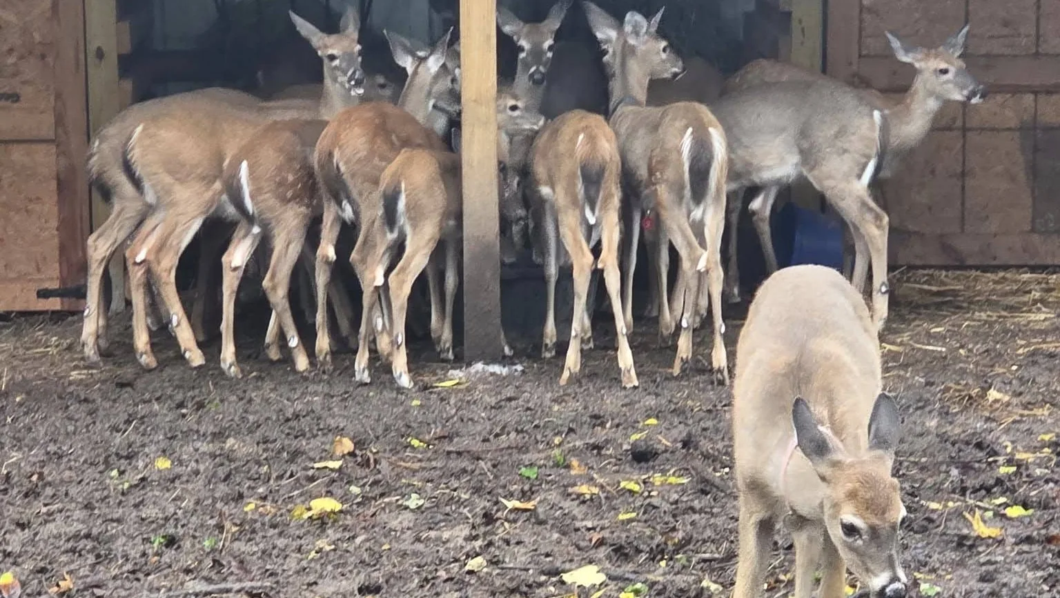 557637301_688715940924496_7363723253296374695_n