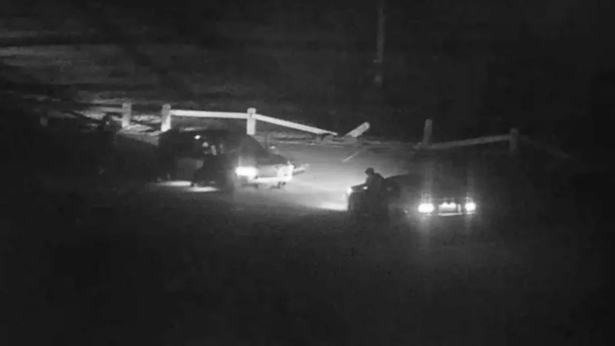 586564969_1145295634441859_2657919077724676277_n