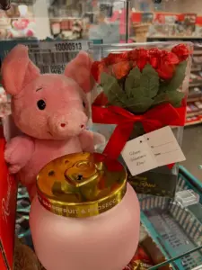 616496133_18520338208066611_5231383025630192538_n