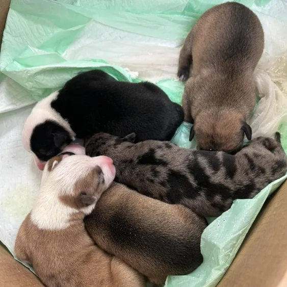 642877375_924503060440127_8821711646456534862_n