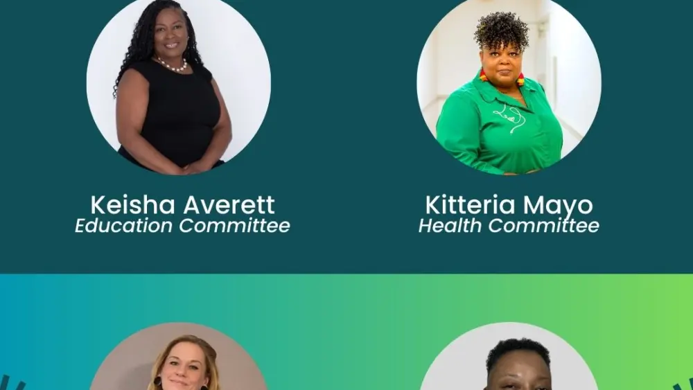 n-main-visionaries-committee-chairs-graphic