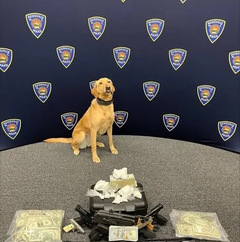 659815103_1362469982575274_7738112764466068158_n