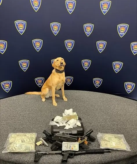 659815103_1362469982575274_7738112764466068158_n