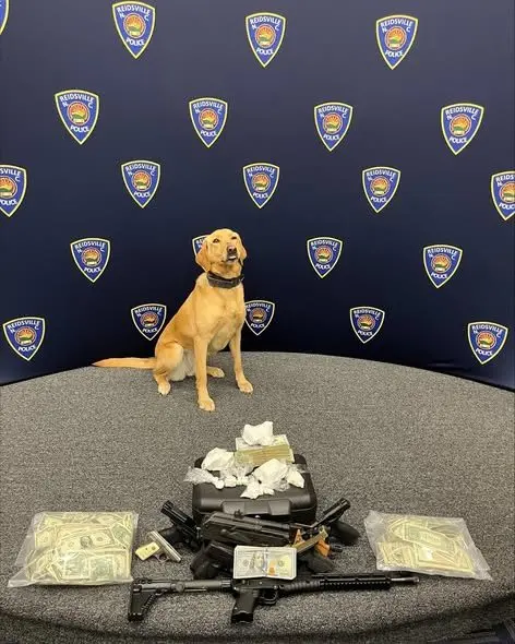 659815103_1362469982575274_7738112764466068158_n