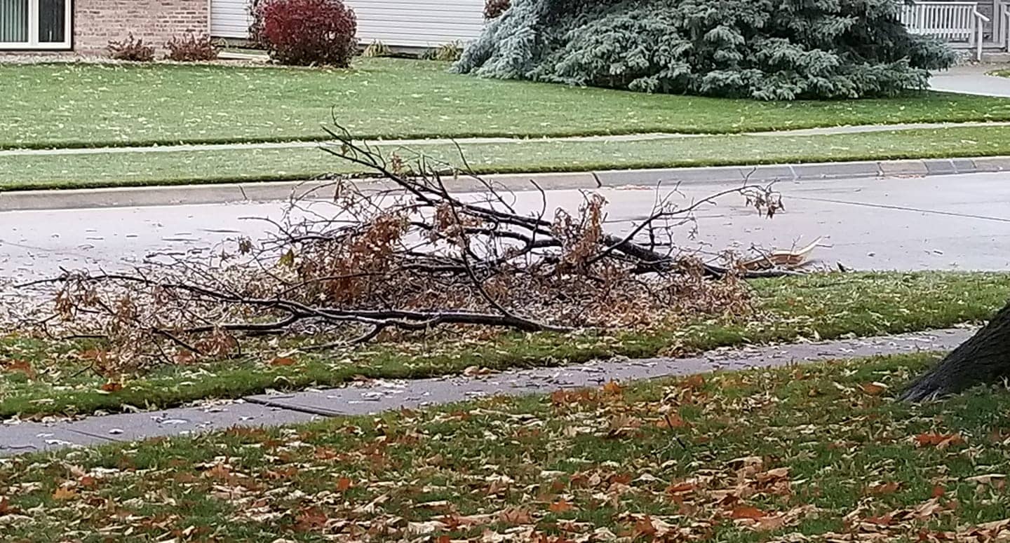 Fremont Tree Disposal Site Hours Extended Through Sunday KHUBAM, KFMTFM