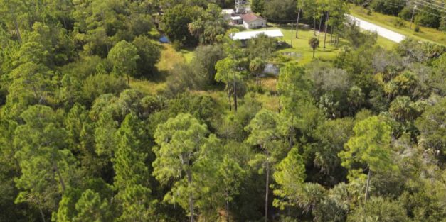 FBI says apparent human remains, personal items belonging to Brian Laundrie were found in Florida nature reserve FBI says apparent human remains, personal items belonging to Brian Laundrie were found in Florida nature reserve