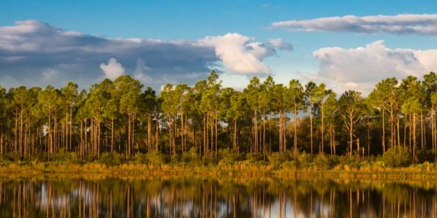 FBI announce that dental records confirm the remains found at Florida environmental park are those of Brian Laundrie FBI announce that dental records confirm the remains found at Florida environmental park are those of Brian Laundrie