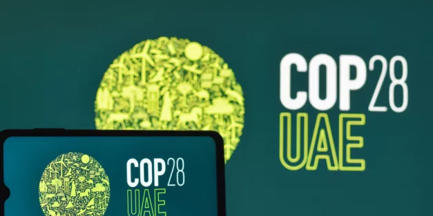 President Biden will not attend COP28 climate conference in Dubai
