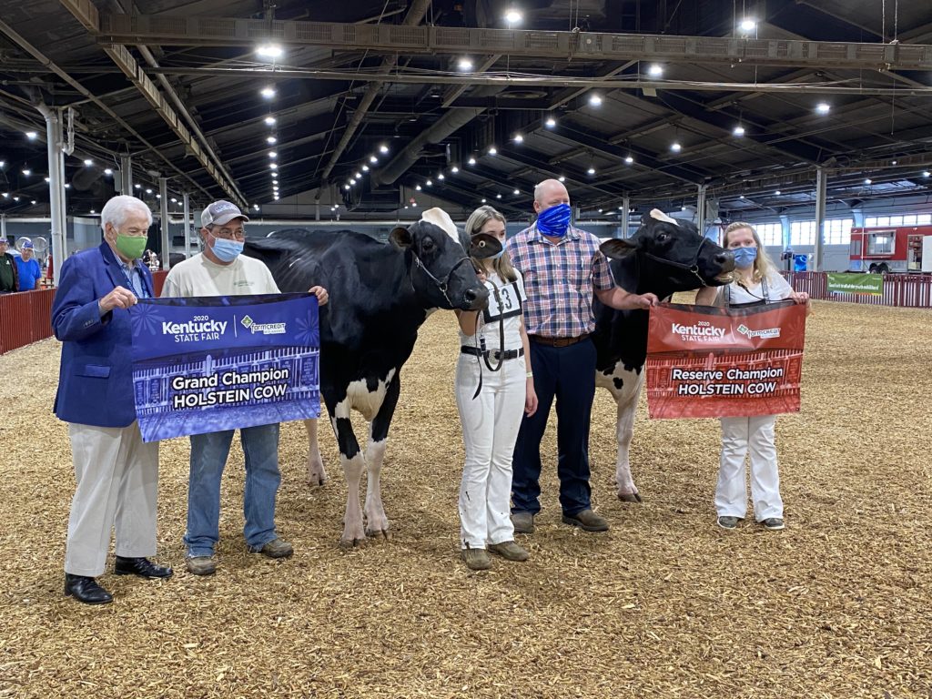 PHOTOS Kentucky State Fair Dairy Show Ag News Kentucky