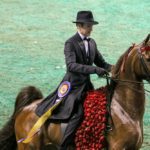 world-championship-horse-show