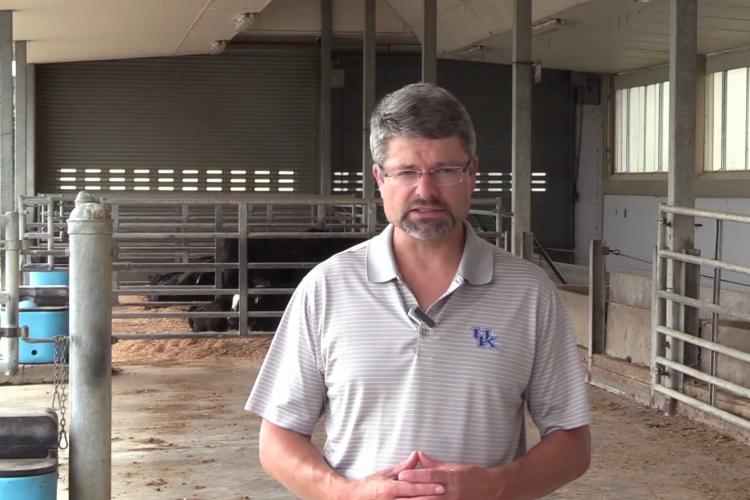 UK Offers Online Beef Education Opportunities For Cattle Producers Ag