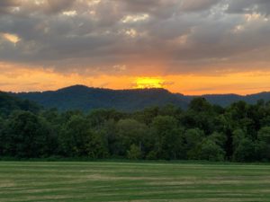 img_0100