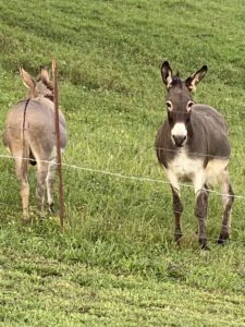 img_0844