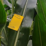 fungicide-cards