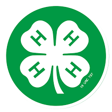 Meet The New Kentucky 4-H President | Ag News Kentucky