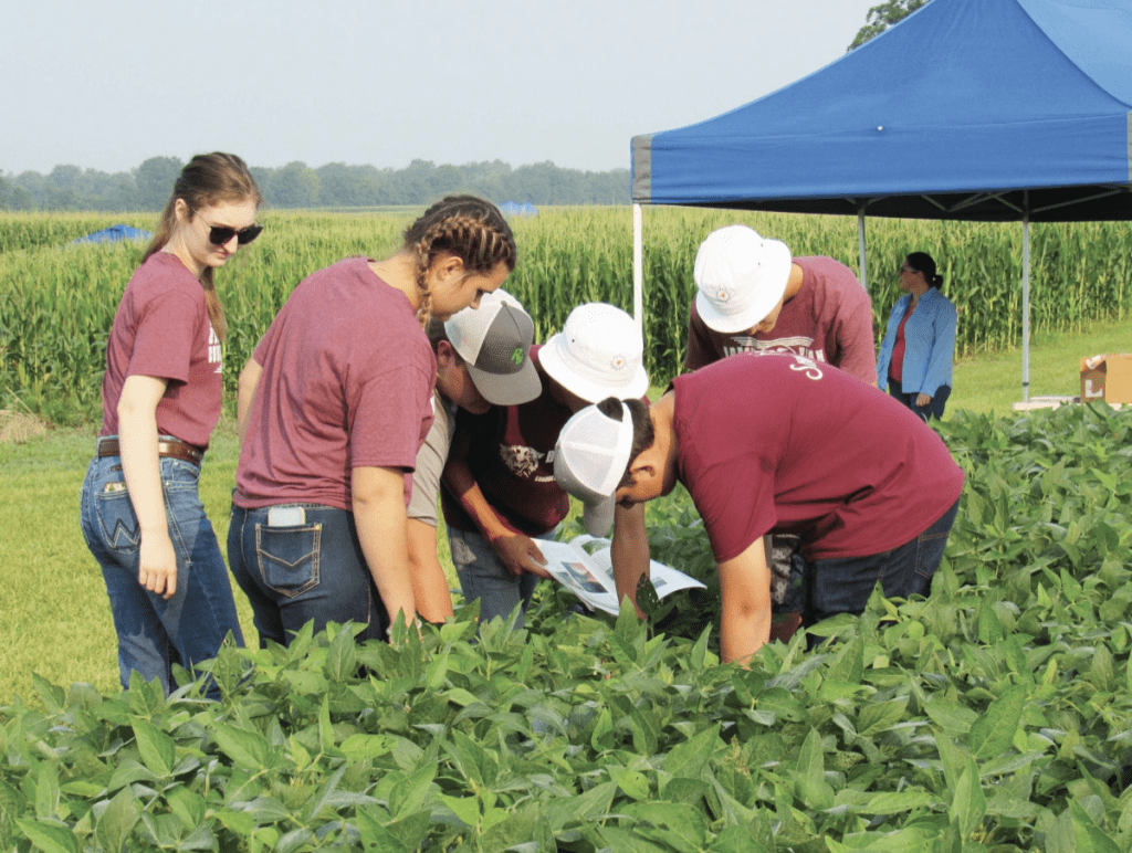 Dr. Kiersten Wise Talks About Crop Scouting Competition Ag News Kentucky