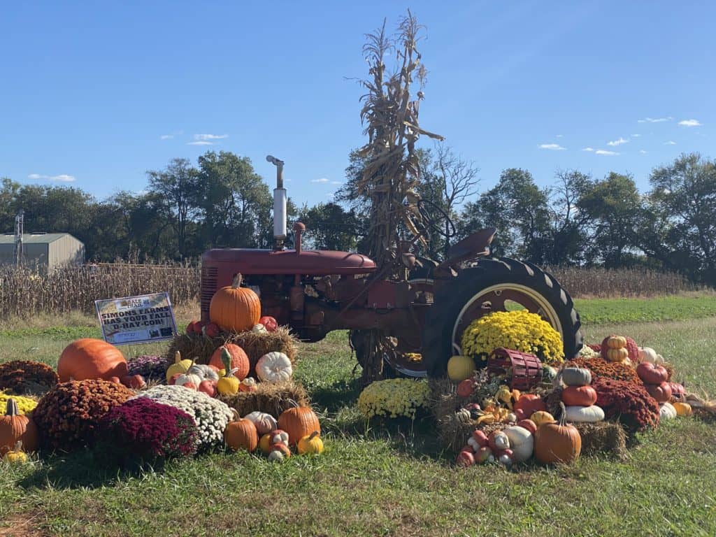VIDEO TODD County Bale Trail Highlights Ag News Kentucky