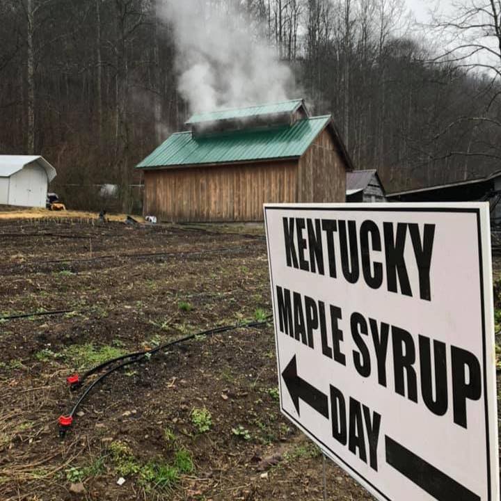 Billy Thomas Previews Maple Day In Kentucky Ag News Kentucky
