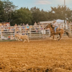 IMG_4326