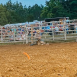 IMG_4338