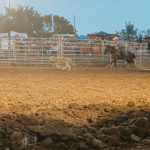 IMG_4339