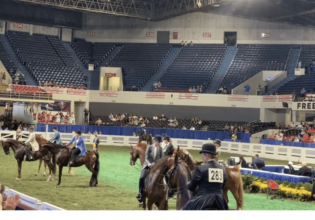 VIDEO World Championship Horse Show Highlights Ag News Kentucky
