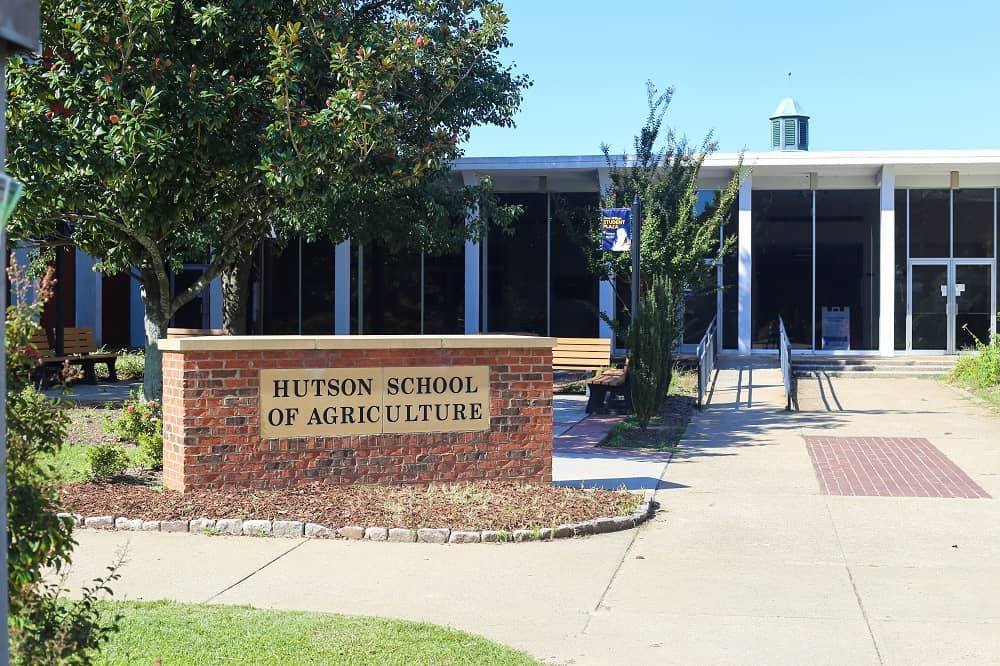 Hutson School of Agriculture Assistant Dean Discusses His Career | Ag ...