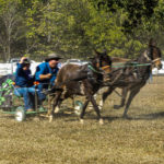 chuckwagon-1