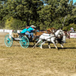 chuckwagon-4