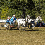 chuckwagon-5