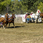 chuckwagon-8