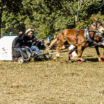 chuckwagon-12