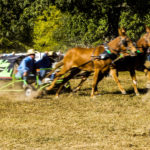 chuckwagon-14