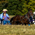 chuckwagon
