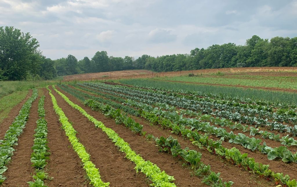 Oldham County Farmer Developed New Markets To Help Farm Ag News Kentucky