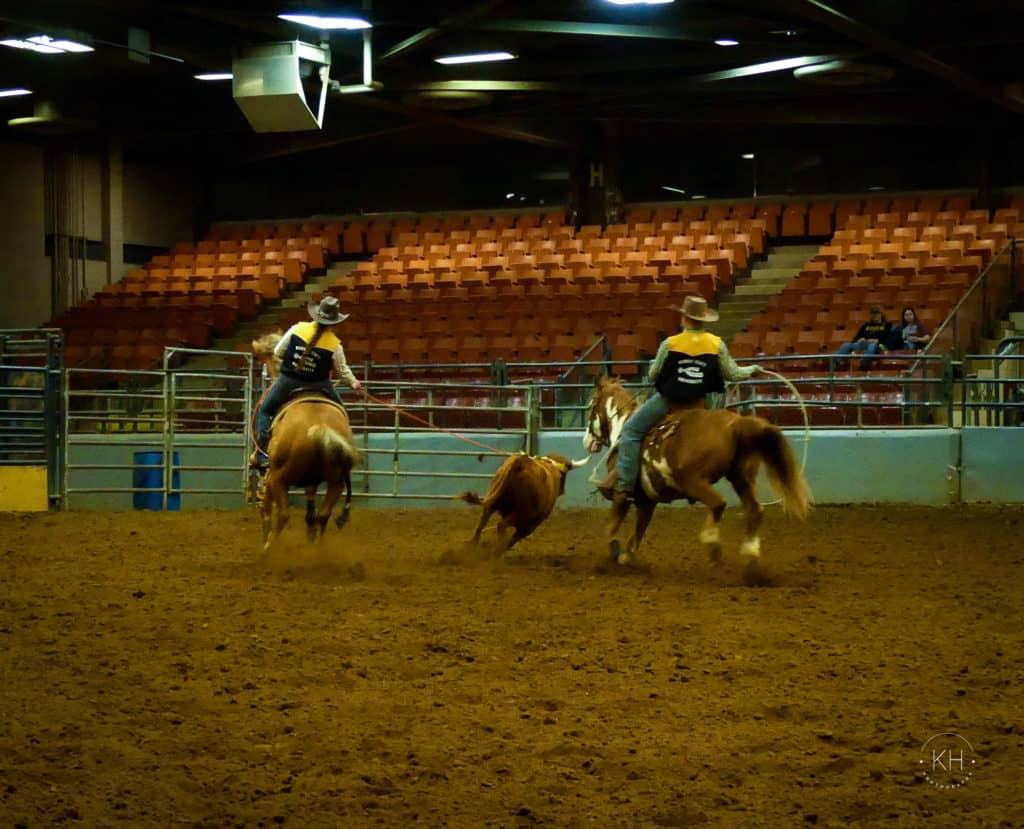 Murray State Rodeo Photos – Murray State Mock Rodeo | Ag News Kentucky