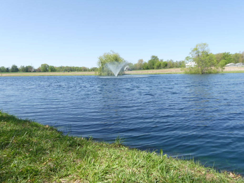 PHOTOS Murray State University Arboretum Ag News Kentucky