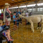 Petting-Zoo-7
